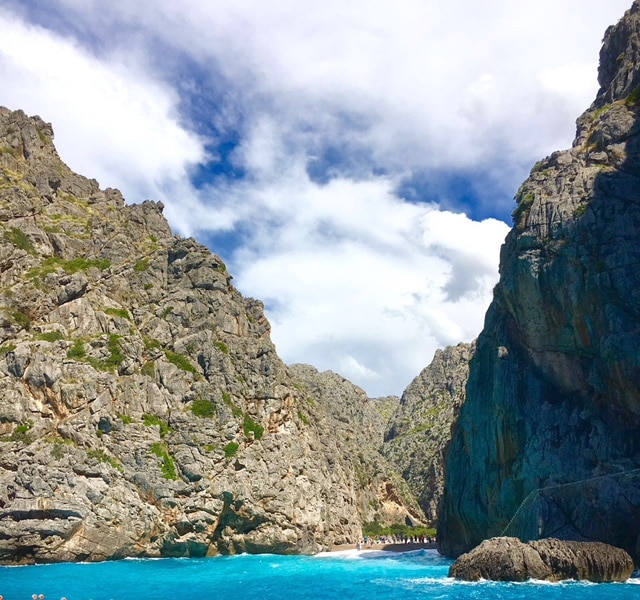 Torrent de pareis -