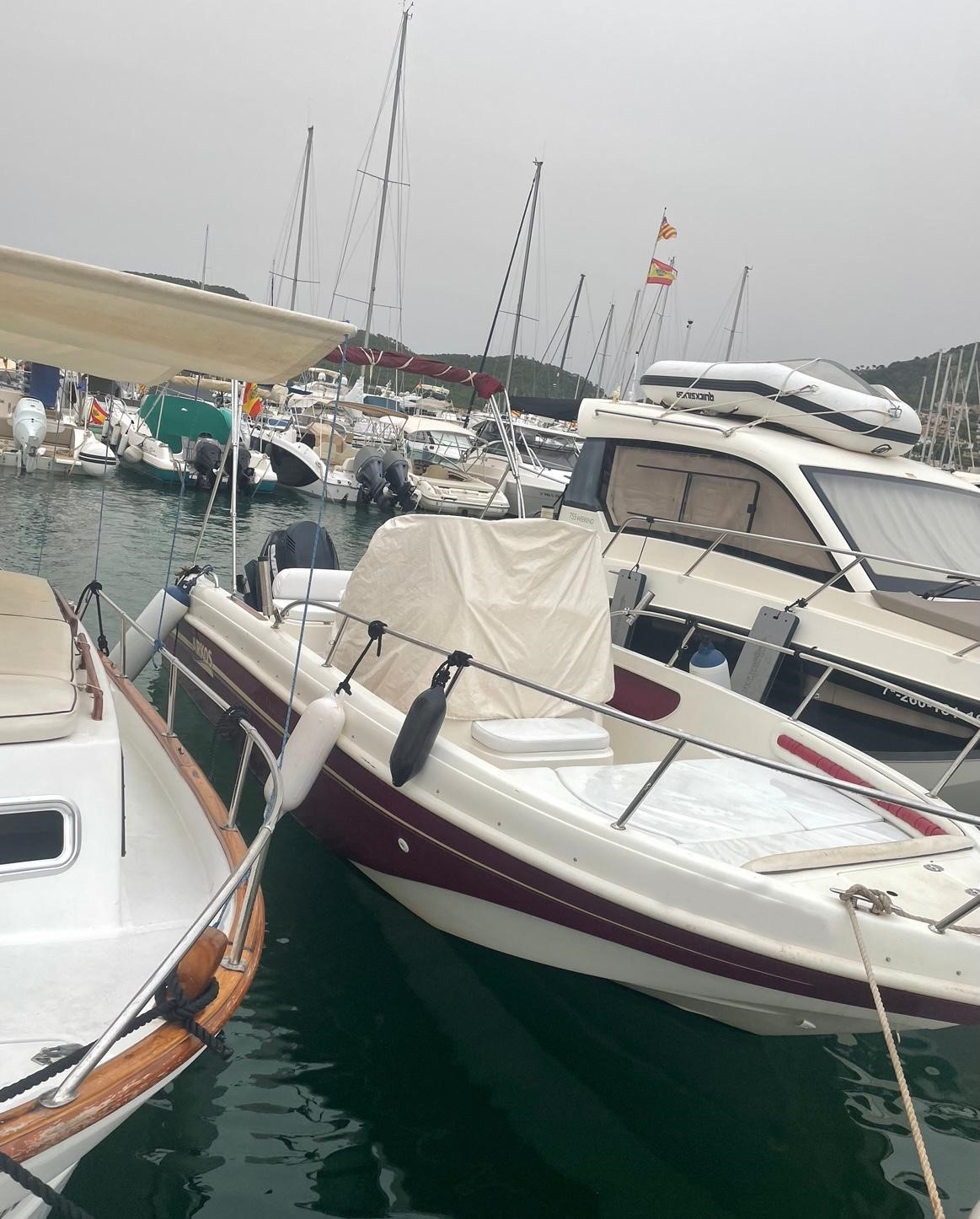 Arkos walk around 607 3 WhatsApp Image 2022 06 14 at 9.51.22 AM -