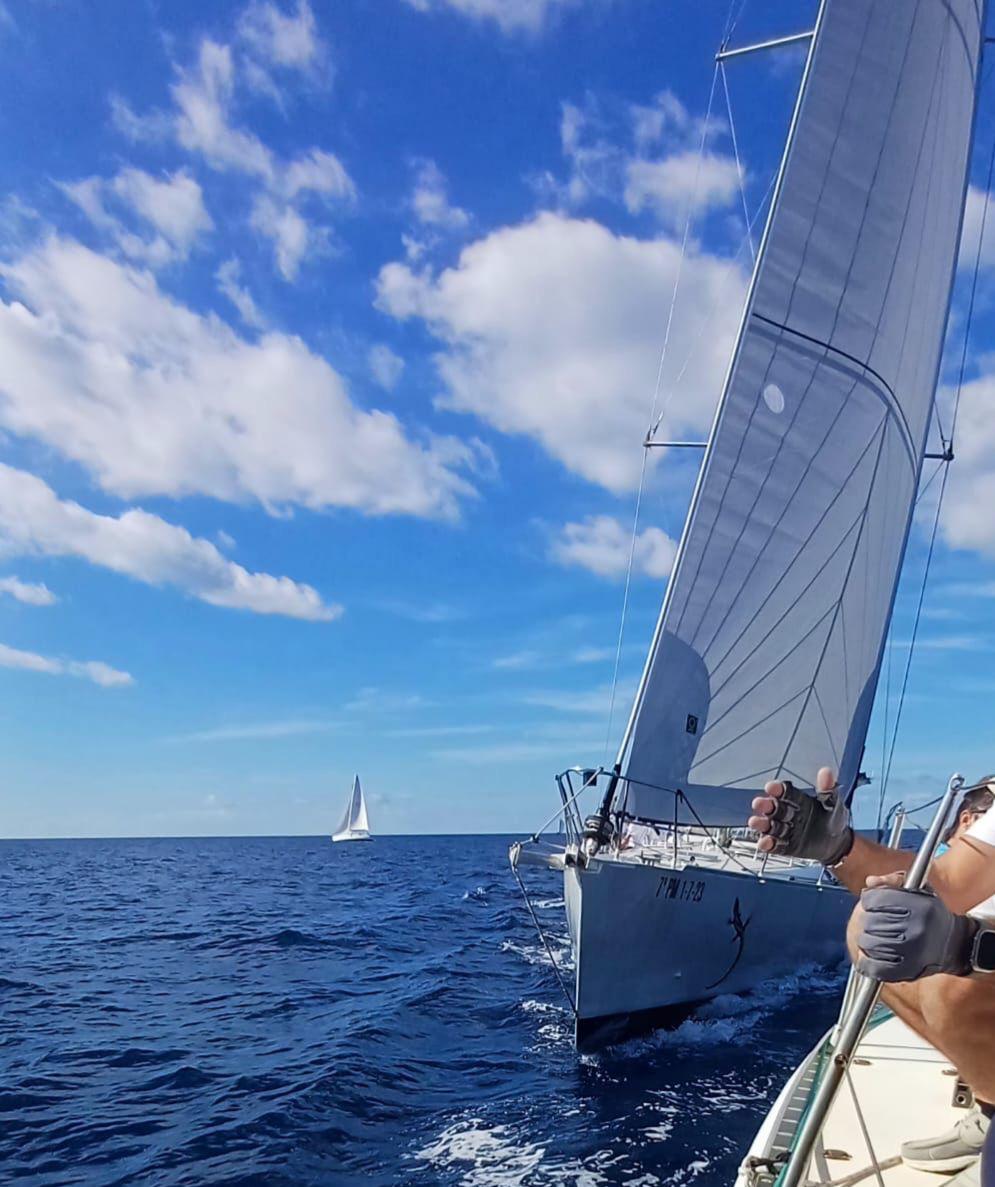 Alubat Cigale 16 2 WhatsApp Image 2025 10 20 at 09.44.24 -