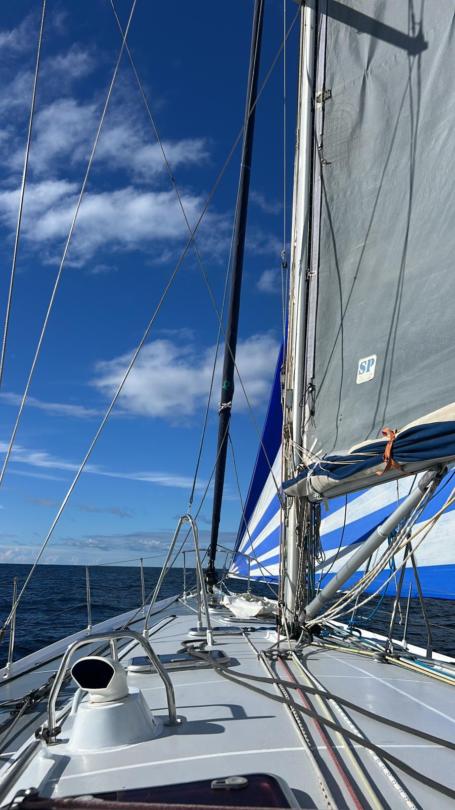 Alubat Cigale 16 1 WhatsApp Image 2026 01 18 at 15.26.41 -