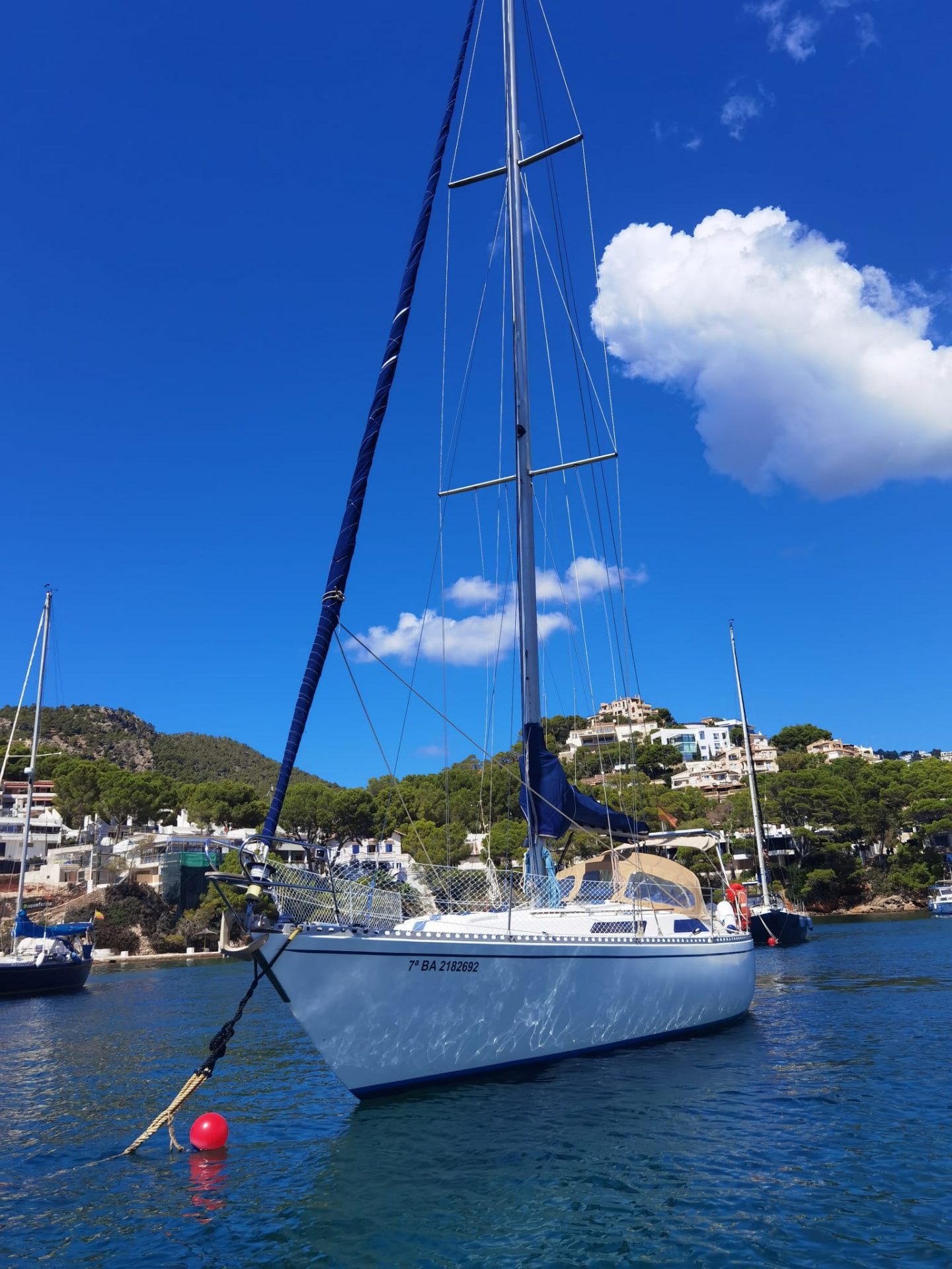 North Wind 38 8 WhatsApp Image 2024 09 16 at 10.29.00 -