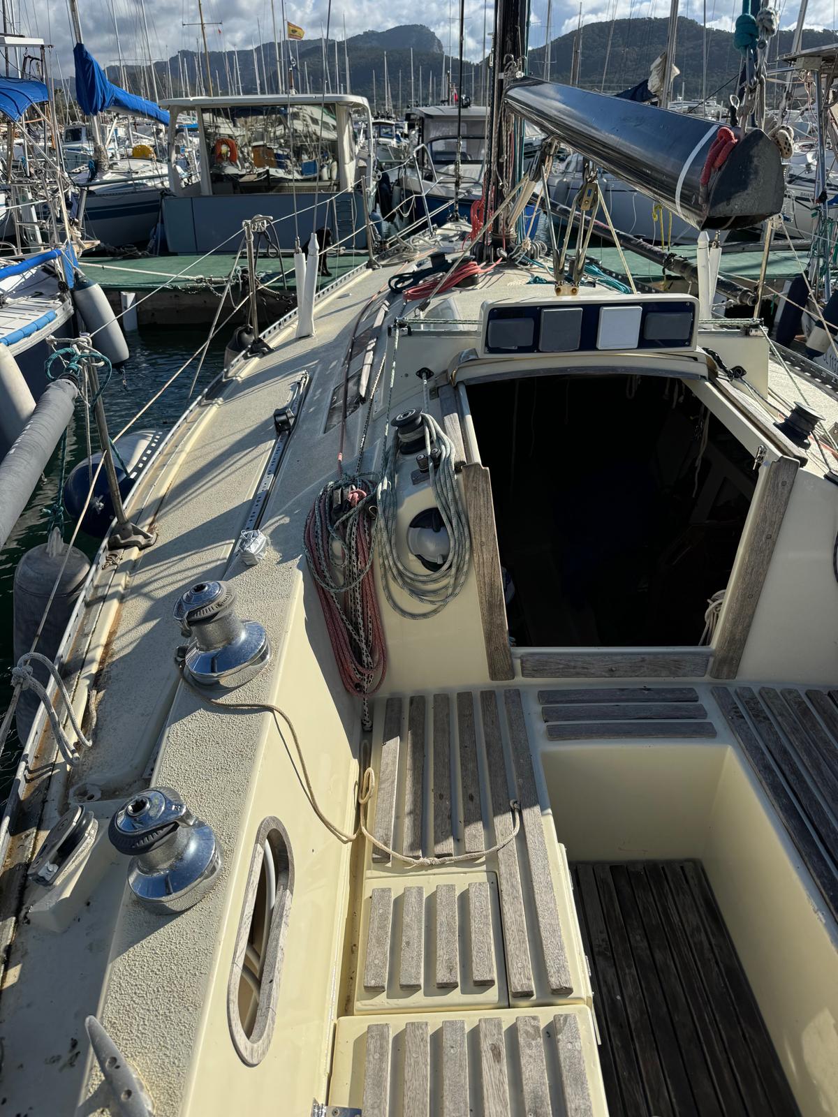 Ranger 32 3 WhatsApp Image 2025 03 12 at 10.11.47 3 -