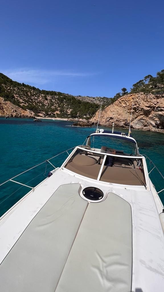 WhatsApp Image 2025 11 10 at 21.12.10 -