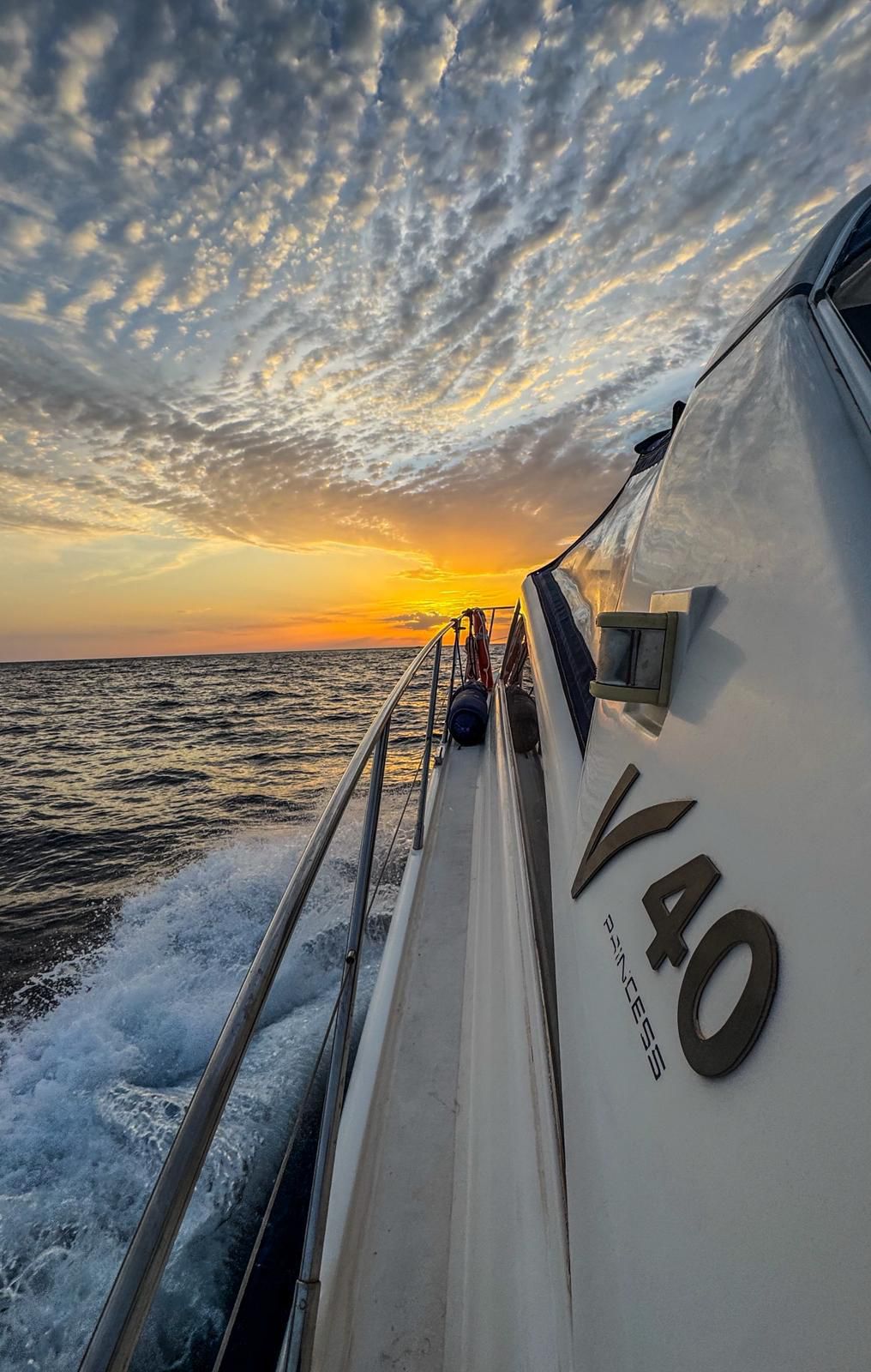 WhatsApp Image 2025 11 10 at 21.12.18 -