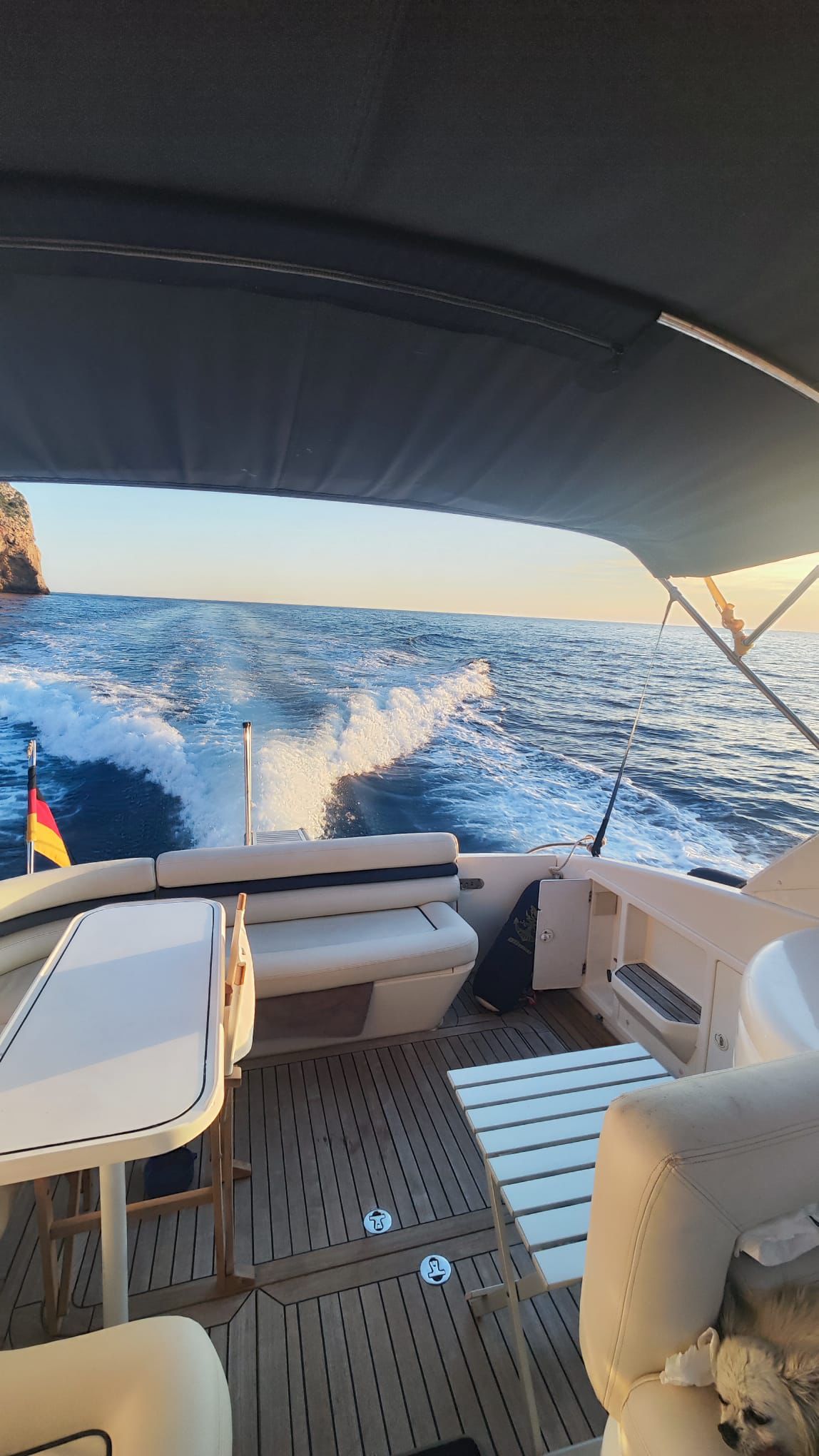 WhatsApp Image 2025 11 10 at 21.21.56 1 -