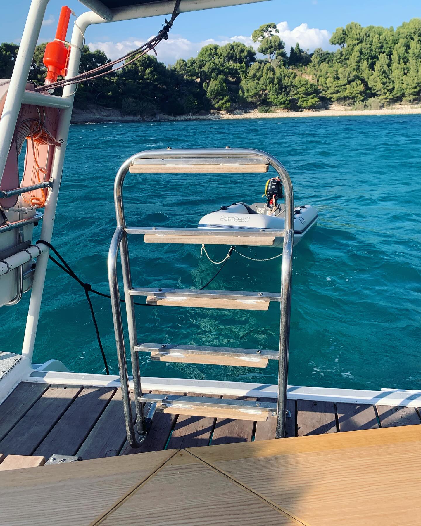 Hobart 1110 7 Echelle de bain annexe Hobart -