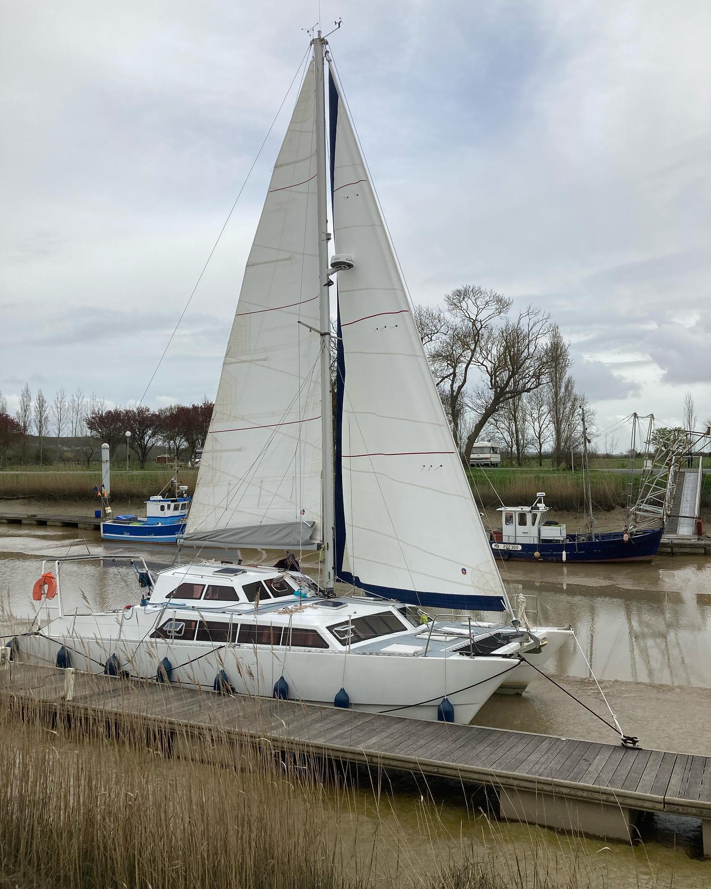 Hobart 1110 1 Toutes voiles dehors Hobart 2023 -