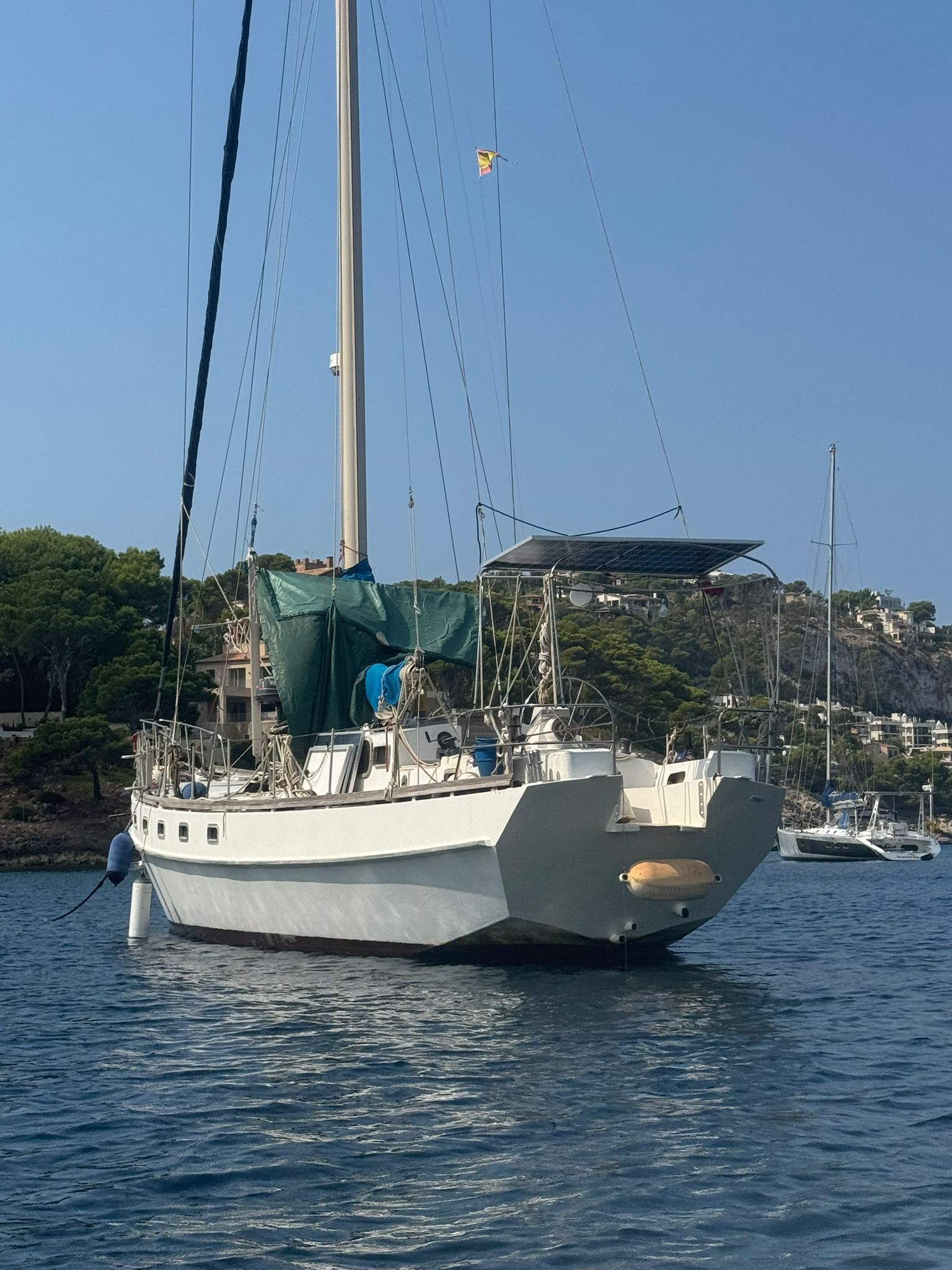 McConnel Marine Ltd Custom Pilothouse Cutter 1 WhatsApp Image 2026 02 25 at 13.37.09 2 -