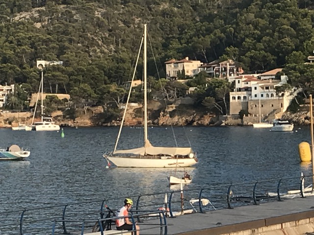 IMG 5506 en taman¦ao mediano -