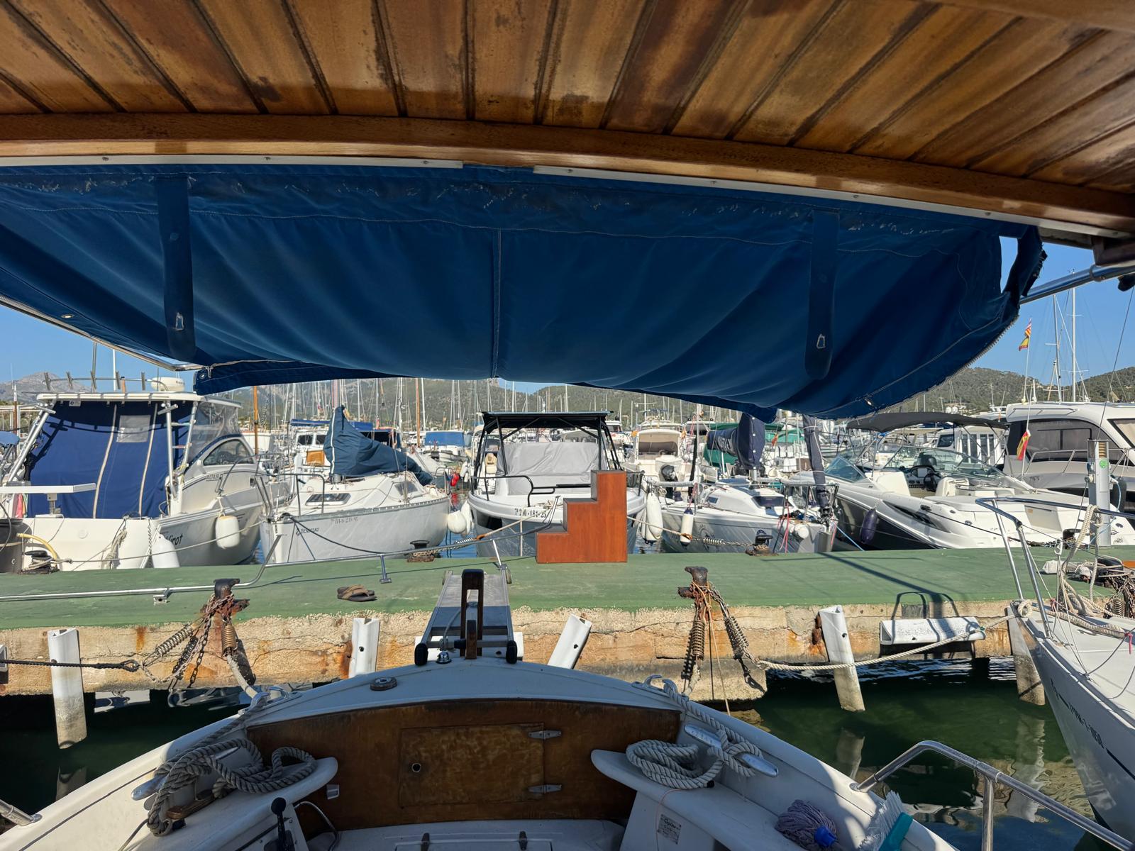 WhatsApp Image 2026 04 17 at 17.20.29 8 -