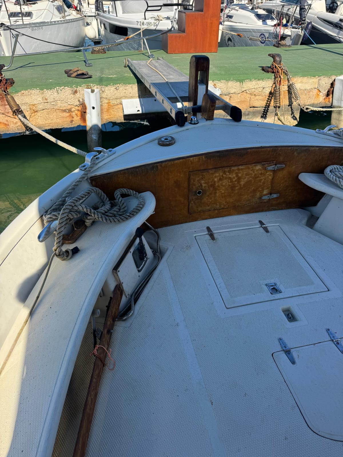 WhatsApp Image 2026 04 17 at 17.20.29 9 -