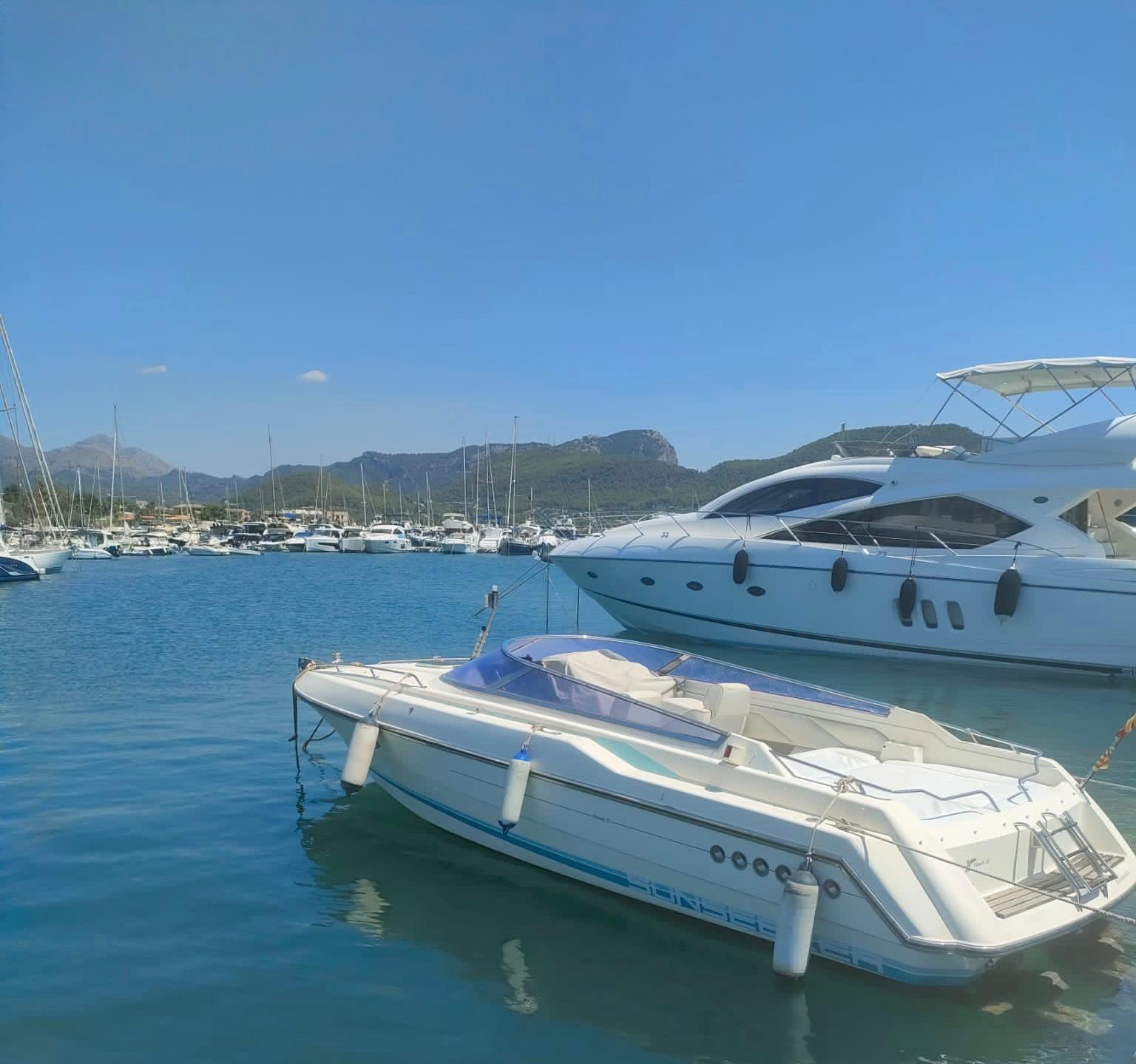 WhatsApp Image 2026 04 20 at 10.50.43 1 -